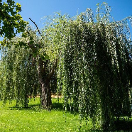 Villa Enara أُنْداي المظهر الخارجي الصورة